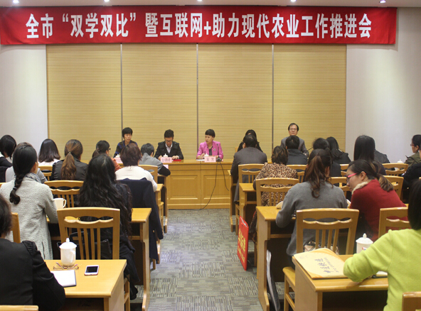 江蘇圣瀾參與雙學(xué)雙比推進(jìn)會.jpg