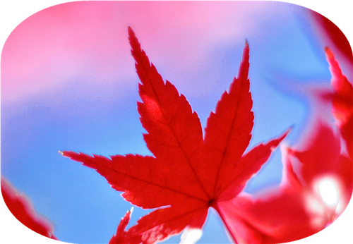 有了她，冬天的愛變得格外溫暖！